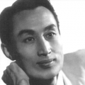 国产ts系列