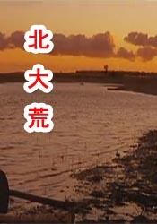一区二区三区的久久的视频
